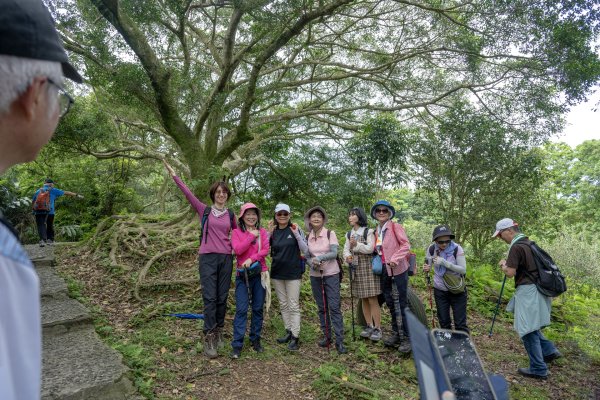 土城 火焰山3058218