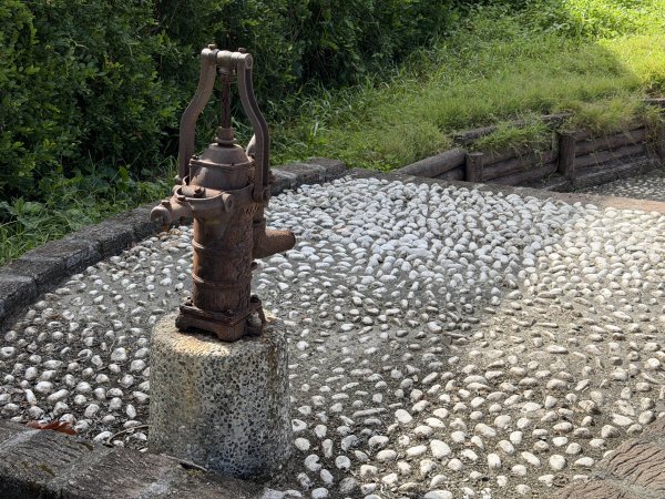 [漫遊縱谷 愛在花東] 2025_1018 米棧古道(第二回)2921139