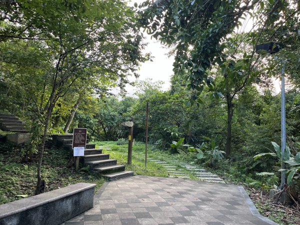 [微笑山線_第六段] 2025_0807 二格山系_和美山螢火蟲段2854626