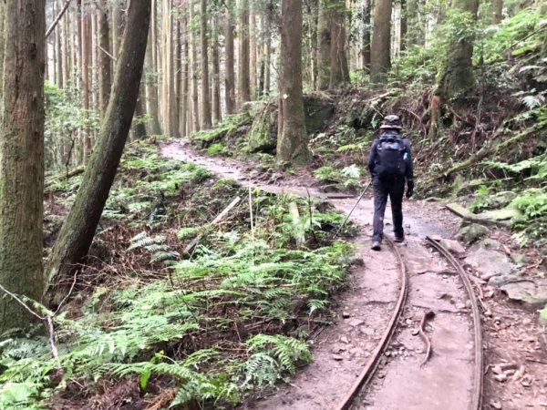 搭過山車飛越哈加縱走1132968