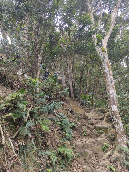 2025.01.18－仙山步道2706106