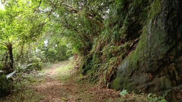 基隆市月眉洞步道-仙洞湖山-姑娘廟P字走3121990