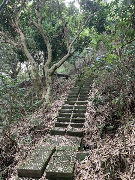 台中潭子聚興山環O林牛山一圈（小百岳）2126368