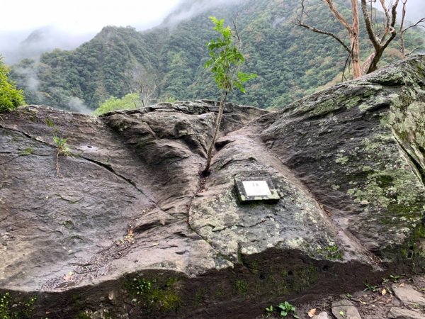 白牆版錐麓古道487173