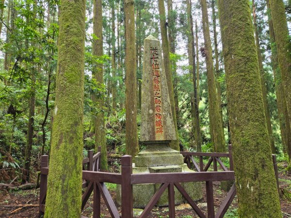 二萬坪山、二萬坪森林步道3055596