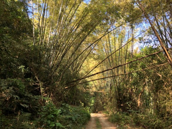 高雄市甲仙區小百岳69號白雲山（廓亭山）一等三角點及一等衛星控制點1984420