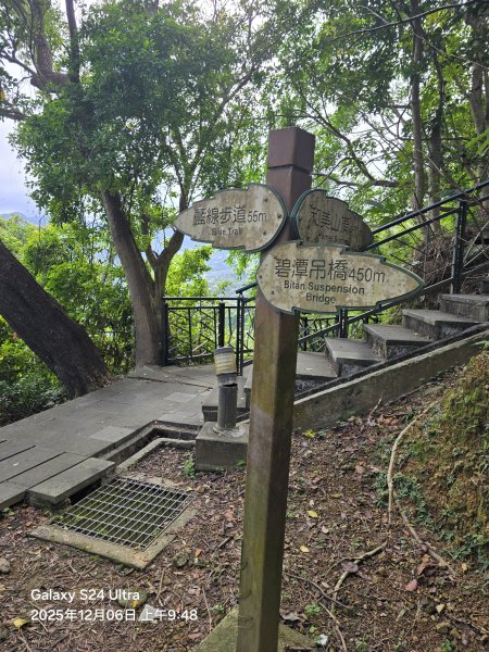 2025-12-06微笑山線：【二格山系】和美山螢火蟲段2956816