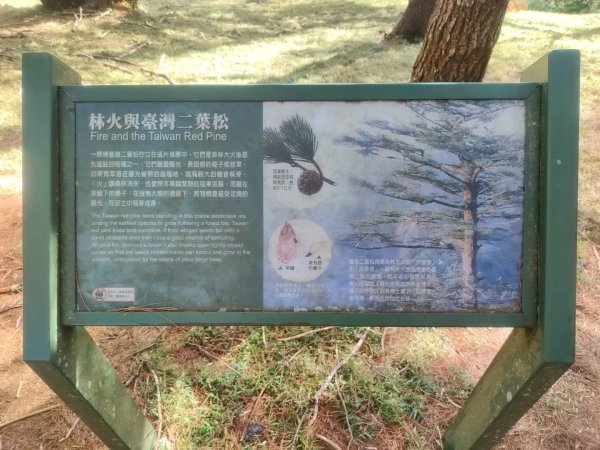 1141116麟趾山3098295