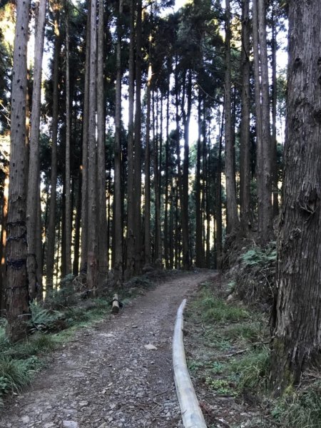 石山引水道縱走兒玉山498925