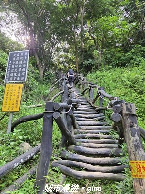 【台中北屯】大坑1號步道3095044