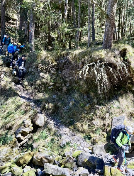 230林道糜爛去    2025.2.28-3.12733797