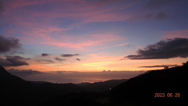 雲山水花鳥蝶 - 天龍國阿伯的日常 6/262195473