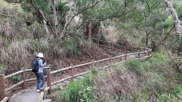 《台中》新春減肥｜龍井竹坑南寮登山步道202202121608740