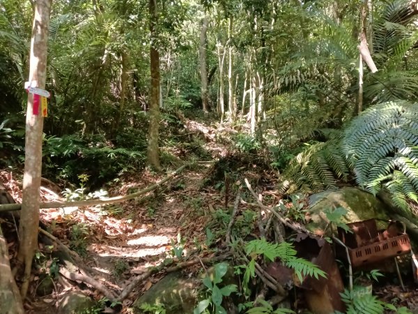 汐止區小溪瀑布+車坪寮土地公稜線2890142