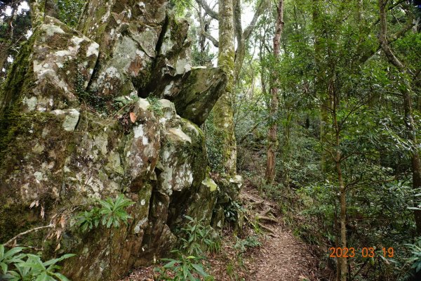 新竹 五峰 比林山、大窩山、鳥嘴山2080241