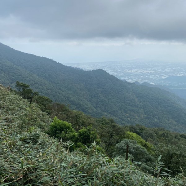 步道巡訪員 l 109年12月聖母登山步道尋訪1206962