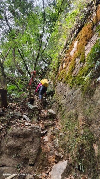 114.11.28-29 雙龍林道~巒安堂~西巒大山2954862