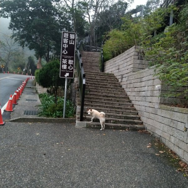 藤坪，猿山，六寮，獅山，四條古道O型縱走784578