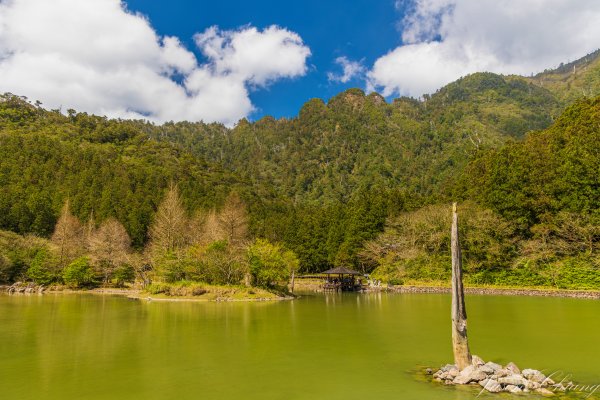 [宜蘭]明池森林遊樂區2725171