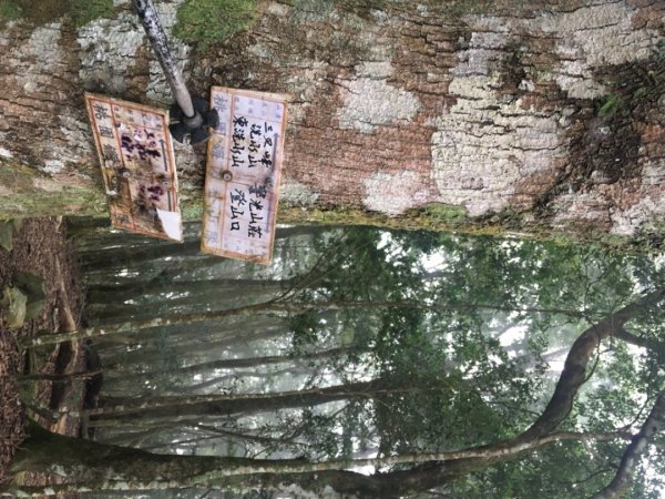 鳥嘴山（上島2708536