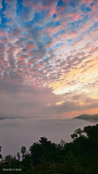 #坪林 #南山寺 #飛碟茶園 #慈瑤宮 #環山路 #日出 #雲海 #觀音圈 5/21-233058234