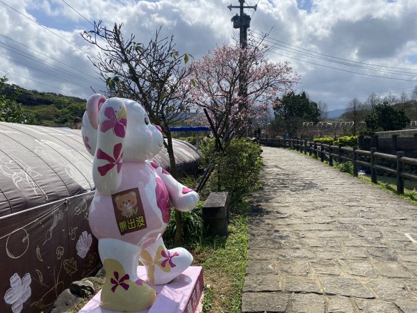 🚗從淡金公路出發｜三生步道櫻花與田園風光・春日療癒散步3018733