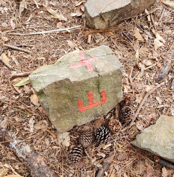 【中級山】芝生毛台山，芝生毛台山西峰，秀巒軍艦岩，屯野生步道，屯野生砲台2745129