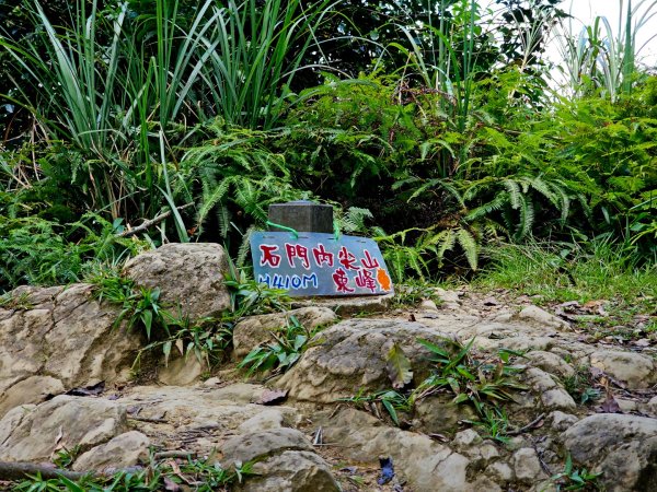 (天上山系)望月亭桐花-2025微笑山線大縱走尋寶集章任務2870348