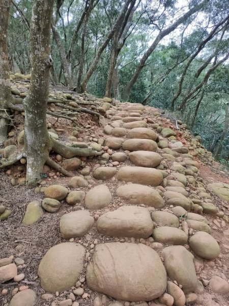1140206火炎山3097963