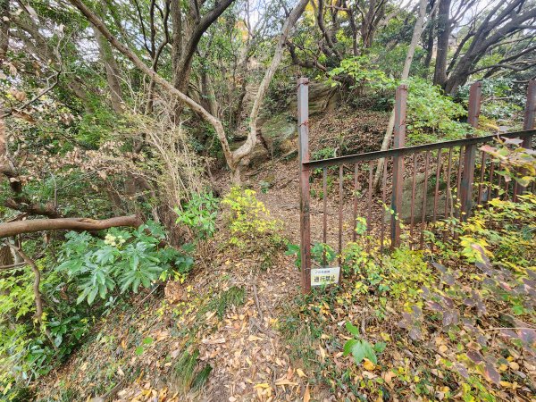 20251129鷹取山神武寺山2963972