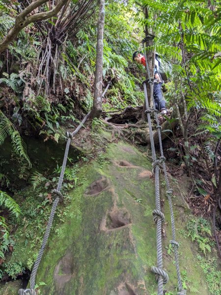 20230715 白雞三山 (鹿窟尖山-雞罩山-白雞山)，高CP好吃的食三麵屋2219322