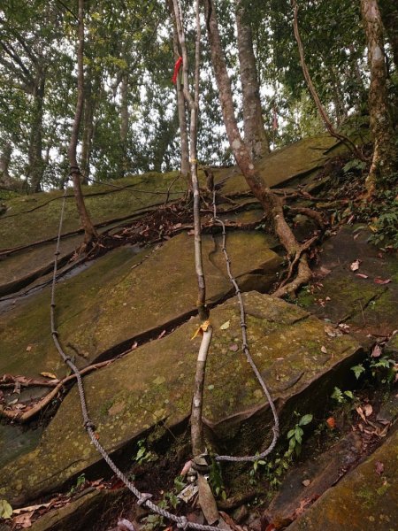 那結山（嘎色鬧部落線）893466