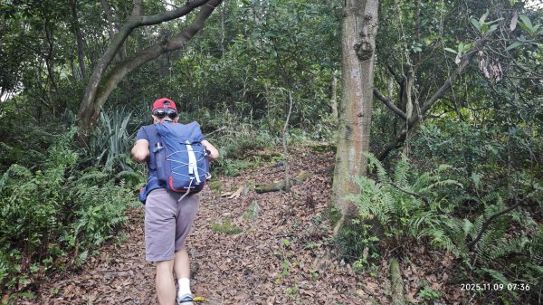 20251109 士林站到大湖站(福山宮_腰繞_燕溪古道_翠山步道_龍船岩_大溝溪)2932315