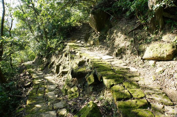 新北 三峽-土城 大暖尖山、火焰山、石門內尖山、十八羅漢岩、成福山3016615