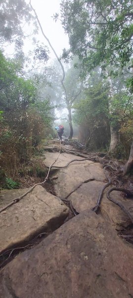 苗栗南庄～陡上陡下無冷場台灣富士山加里山1086968