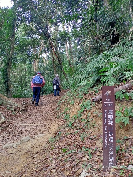 四訪苗栗的花果山-小百岳#037馬那邦山、雪霸國家公園管理處【小百岳集起來、苗栗-臺灣百大必訪步道】2394324