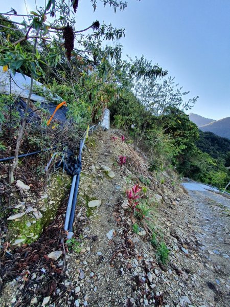 盧山六寶-再生山1616325