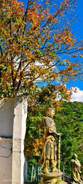 #花卉試驗中心 #永公路500巷 #平菁街42巷 #原住民公園 #士林官邸 1/42976524