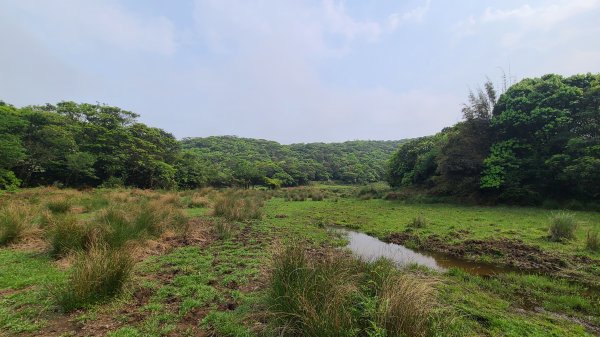 陽明山國家公園-磺嘴山、翠翠谷生態保護區1415949