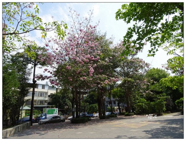 台中/東光園道步道911657