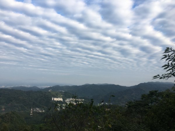 六寮崙山、雞罩山、白雞山8字走2371092