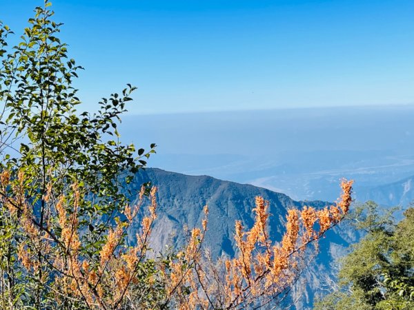 1101211大雪山230林道9.2k/雪山西稜登山口1546372