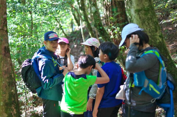 迷幻高島(高島縱走-小錦屏線)1517539