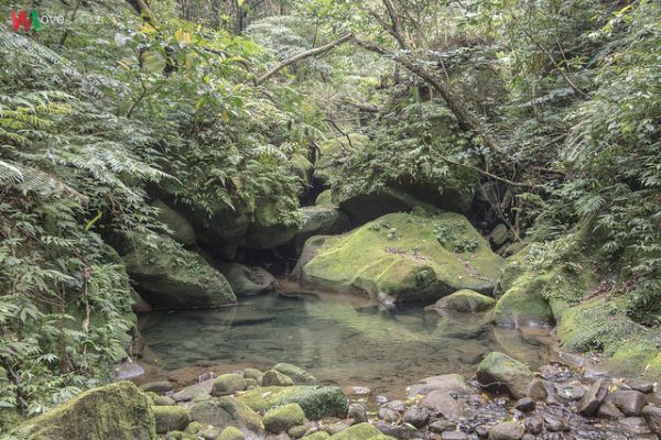 WL 愛旅行【耳空龜山】339275