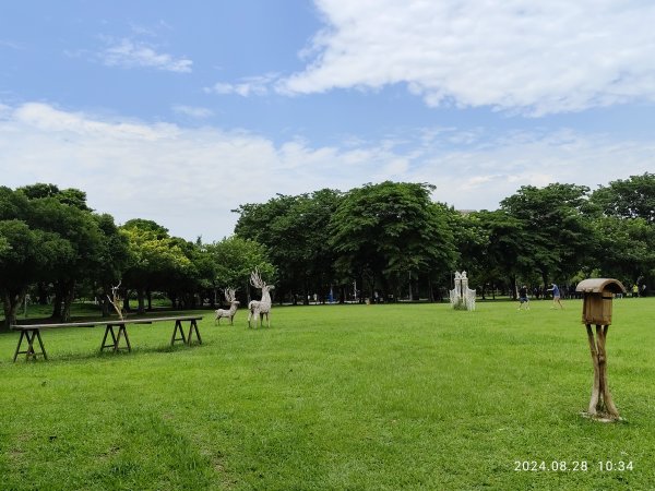 大安森林公園、港墘公園、大港墘公園【走路趣尋寶】【臺北健走趣】2582373