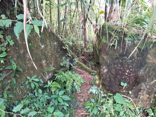 舊小百岳：文峰山-大坑凌雲嚴步道2021055061425915