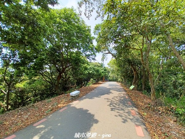 【彰化員林】員林百果山上最具人氣的休閒步道。 台灣百大必訪步道。 藤山步道1689476