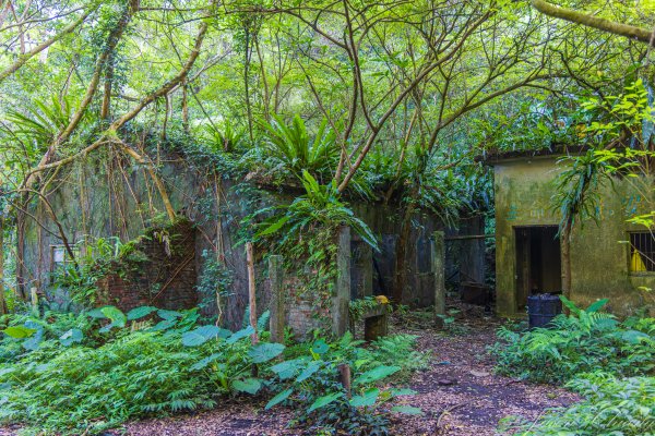 [新北]白雞山與裕峰煤礦遺址2891863