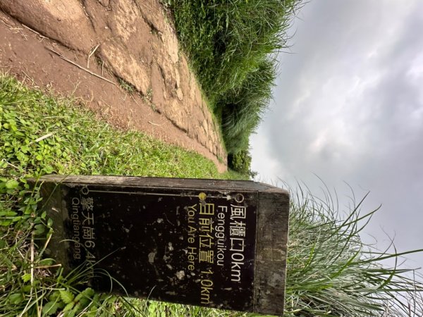 臺北大縱走第三段 小油坑》風櫃嘴2478304