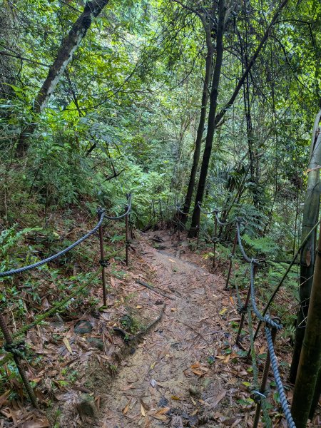 2025-06-08 臺北大縱走第六、七段2814196